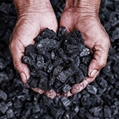 Petroleum Coke